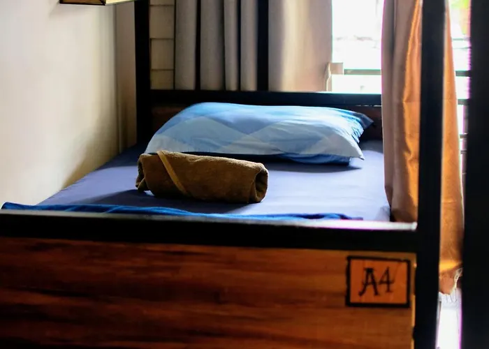 Hostel Back Backpackers *